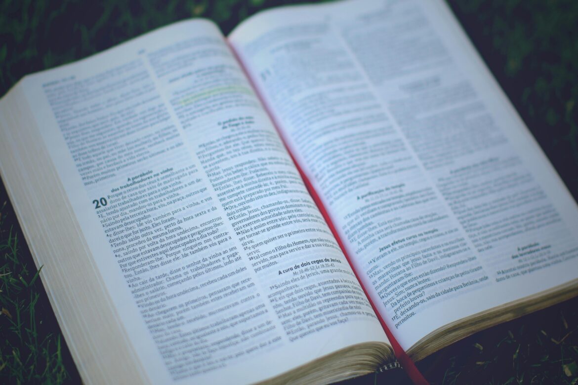 academic book chapter